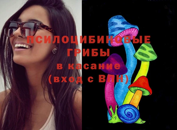 шишки Балабаново