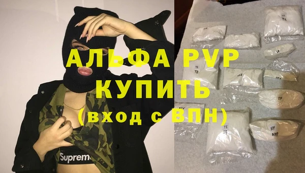 ECSTASY Балахна