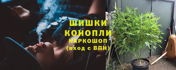 шишки Балабаново