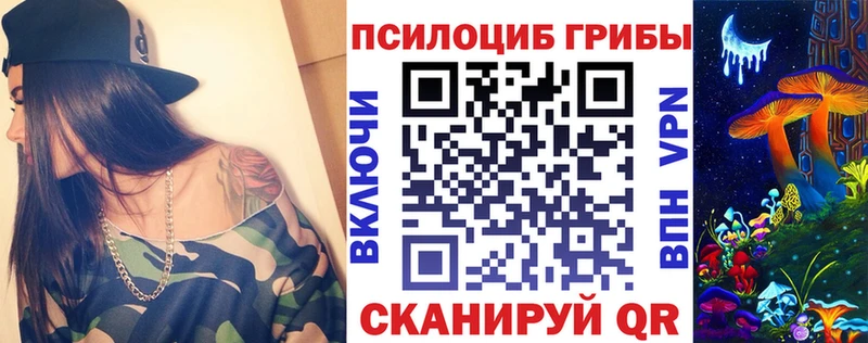 hydra ссылки  Вилючинск  Галлюциногенные грибы Psilocybe  где купить наркотик 